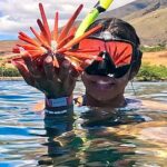 Unlimited Guided Snorkeling Tour for Beginners Plus - Who Is This Tour Best For?