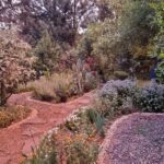 Urban Orchard in Desierto de los Leones in Mexico City - The Experience’s Comforts and Inclusions