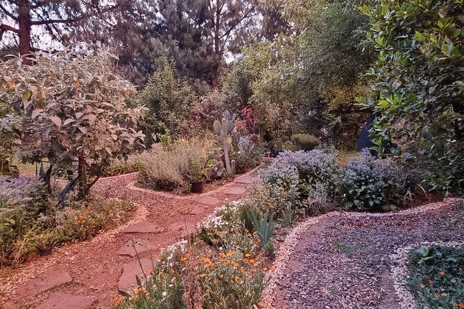 Urban Orchard in Desierto de los Leones in Mexico City - The Experience’s Comforts and Inclusions