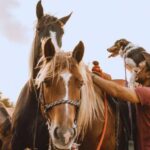 Urbino: 2-hour horseback ride in the Furlo Nature Reserve - Who Should Consider This Tour?