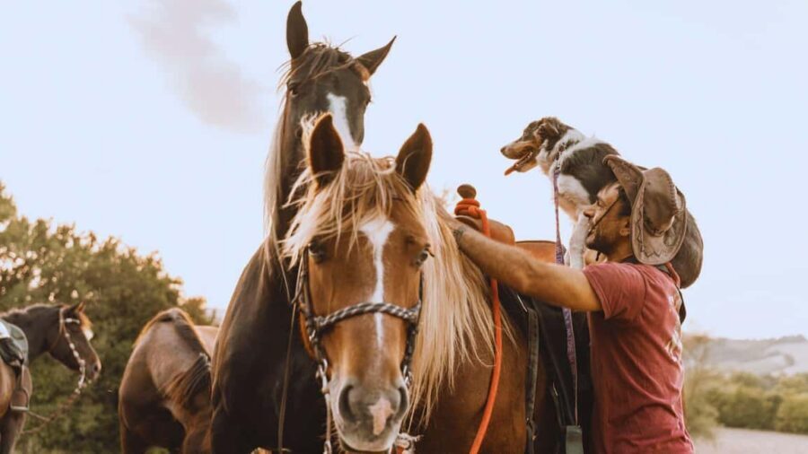 Urbino: 2-hour horseback ride in the Furlo Nature Reserve - Who Should Consider This Tour?