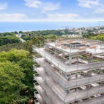 Usedom: Treetop Walk Adventure on Usedom Island - Is It Worth the Price?