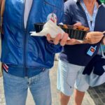 Utrecht: Highlights and Secrets with a Walking Tour - The Experience: What to Expect