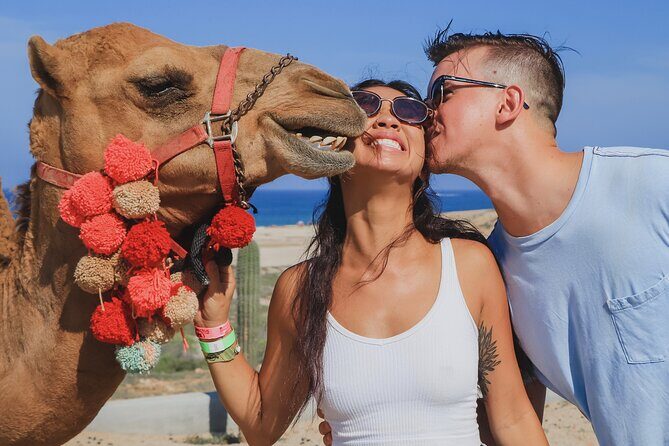 UTV Adventure + Free Camel Ride & Sky Bikes - Final Thoughts: Who Will Love This Experience?