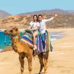 UTV and Camel Ride in the Cabo Desert - The Itinerary in Detail