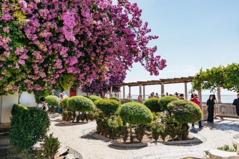 Vadio: Lisbon Old Town Private Tuk Tuk Tour - Who Should Consider This Tour?