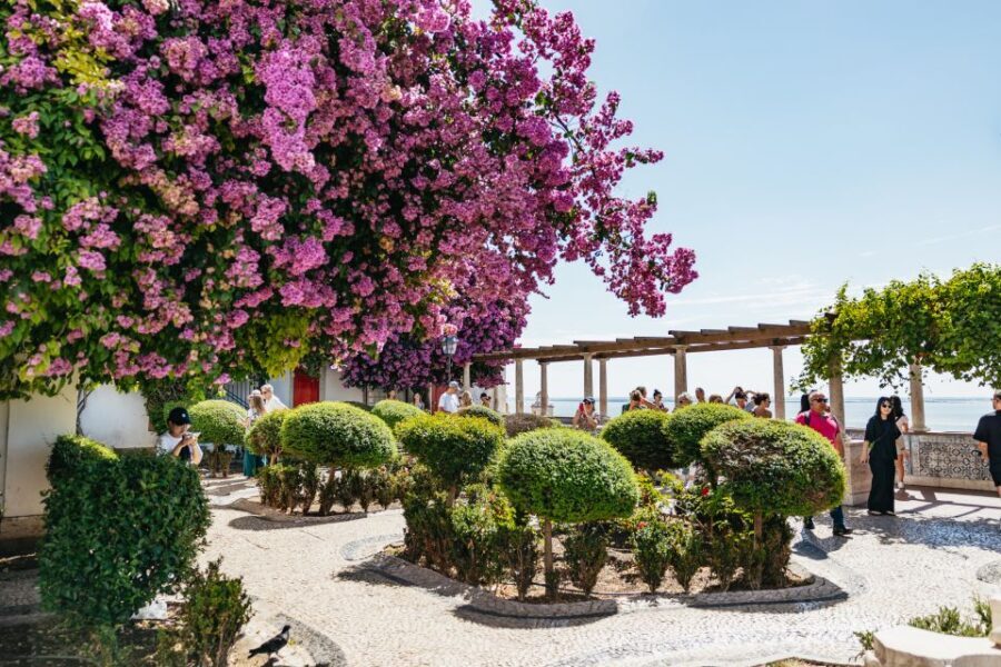 Vadio: Lisbon Old Town Private Tuk Tuk Tour - Who Should Consider This Tour?