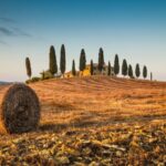 Val D'Orcia: Montepulciano, Pienza, Montalcino with Winery - Who Is This Tour Best For?