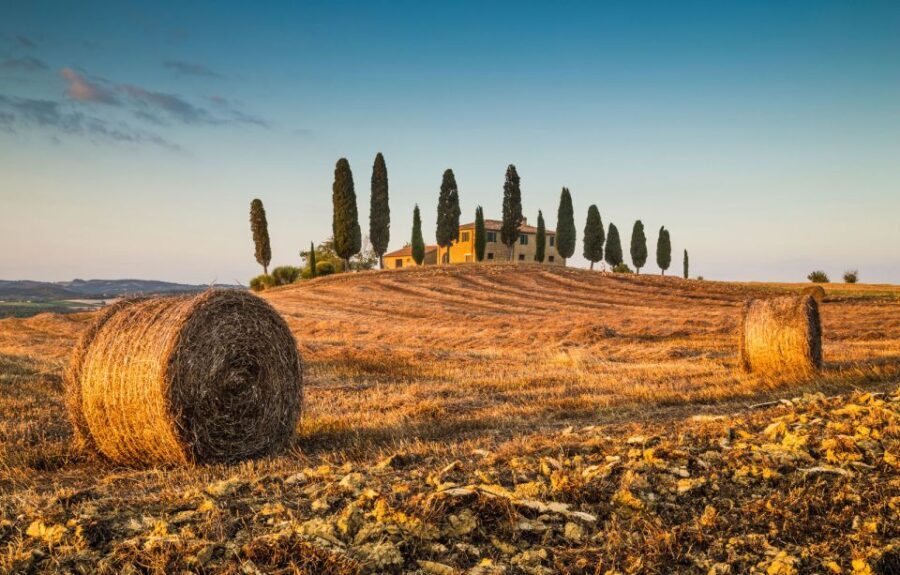 Val D'Orcia: Montepulciano, Pienza, Montalcino with Winery - Who Is This Tour Best For?