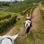 Valdobbiadene: Prosecco Hills Horseback Ride with Aperitif - Who is This Tour Best For?