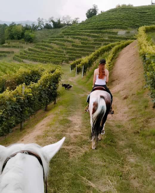 Valdobbiadene: Prosecco Hills Horseback Riding Tour - The Highlights