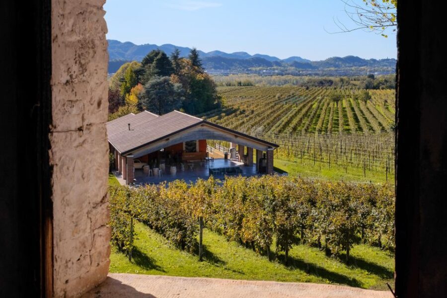 Valdobbiadene: Prosecco tasting where Art meets Wine - The Value of This Tour