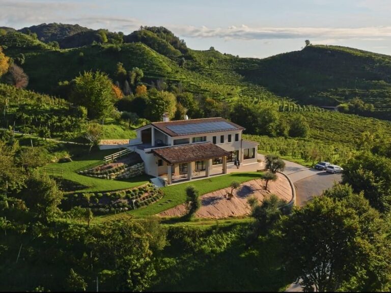 Valdobbiadene: Prosecco tasting with winery & vineyard tour - An Honest Look at the Prosecco & Vineyard Tour in Valdobbiadene