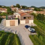 Valdobbiadene: Wine Tour in the Prosecco Hills - The Wines and Tasting Experience