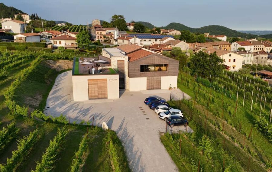 Valdobbiadene: Wine Tour in the Prosecco Hills - The Wines and Tasting Experience