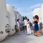 Valdobbiadene:Prosecco tasting,appetizers,winery & vineyard - The Detailed Breakdown of the Itinerary