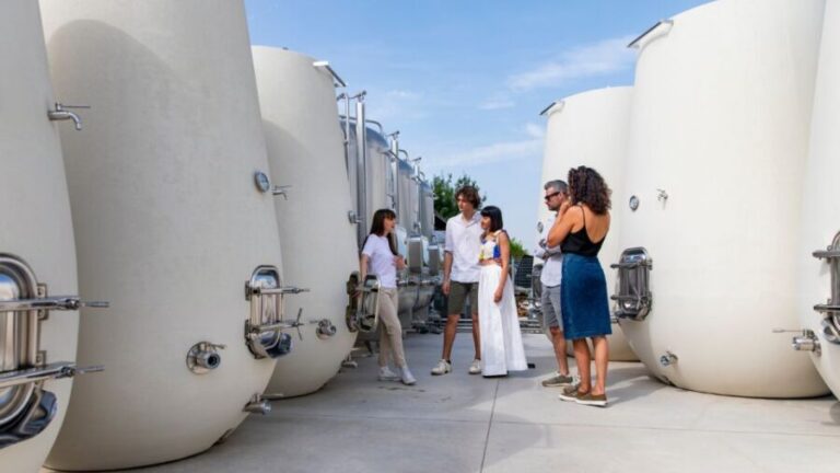 Valdobbiadene:Prosecco tasting,appetizers,winery & vineyard - The Detailed Breakdown of the Itinerary