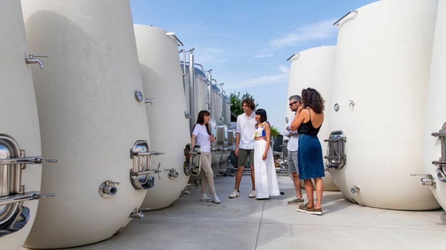 Valdobbiadene:Prosecco tasting,appetizers,winery & vineyard - The Detailed Breakdown of the Itinerary