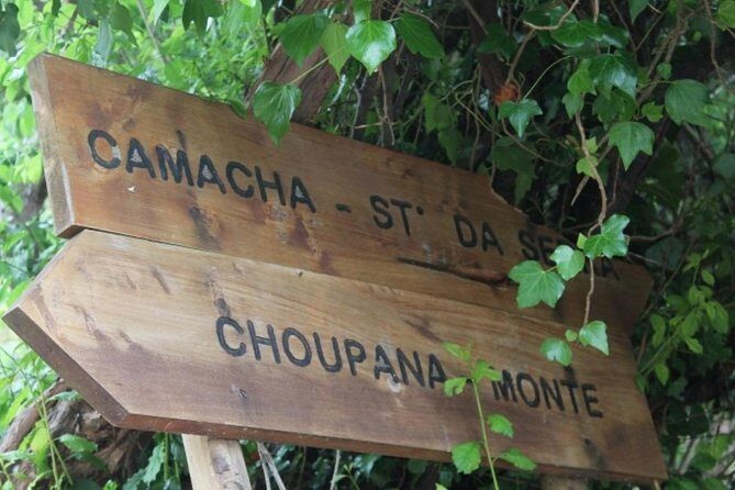 Vale Paraíso - Rochão (Half Day Walk) - What to Expect from the Vale Paraíso - Rochão Tour