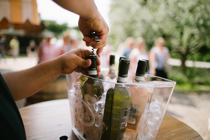 Valeggio: Sorsi dEstate, 3 young wines with guided tour - Who Would Love This Experience?