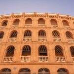 Valencia 1 hour by TukTuki: Essential and Private Tour - Who Would Love This Tour?