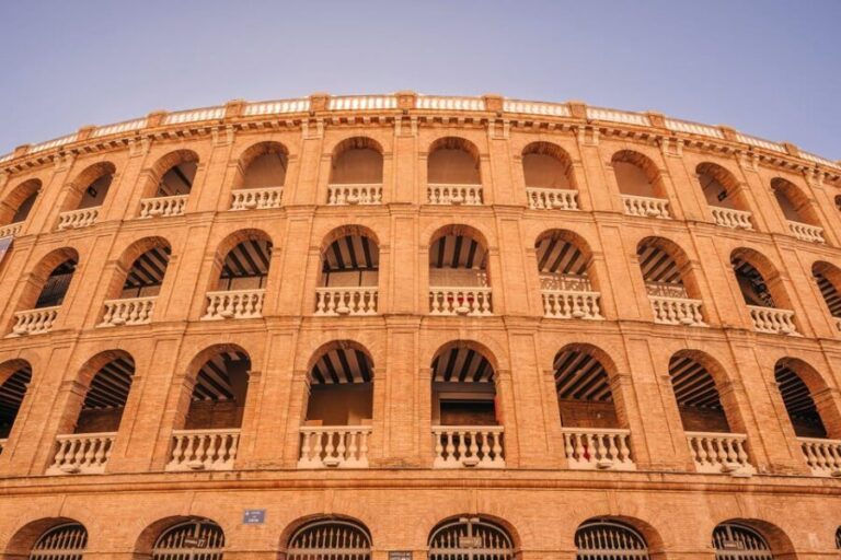 Valencia 1 hour by TukTuki: Essential and Private Tour - Who Would Love This Tour?