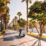 Valencia: 1-hour Private Tuk Tuk Tour - Who is This Tour Best For?