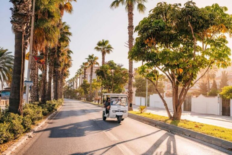 Valencia: 1-hour Private Tuk Tuk Tour - Who is This Tour Best For?