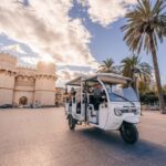 Valencia: 2-hour City Highlights Guided Tour by Tuk Tuk - The Experience: Pros and Cons