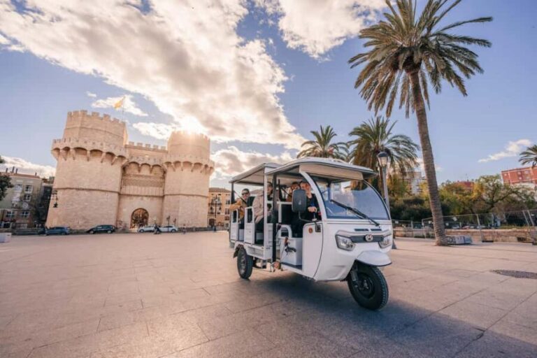 Valencia: 2-hour City Highlights Guided Tour by Tuk Tuk - The Experience: Pros and Cons
