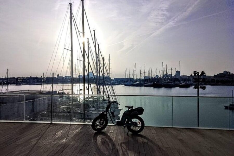 Valencia all in one: beaches, old town & city arts by E-bike - The Experience: What Makes It Special?