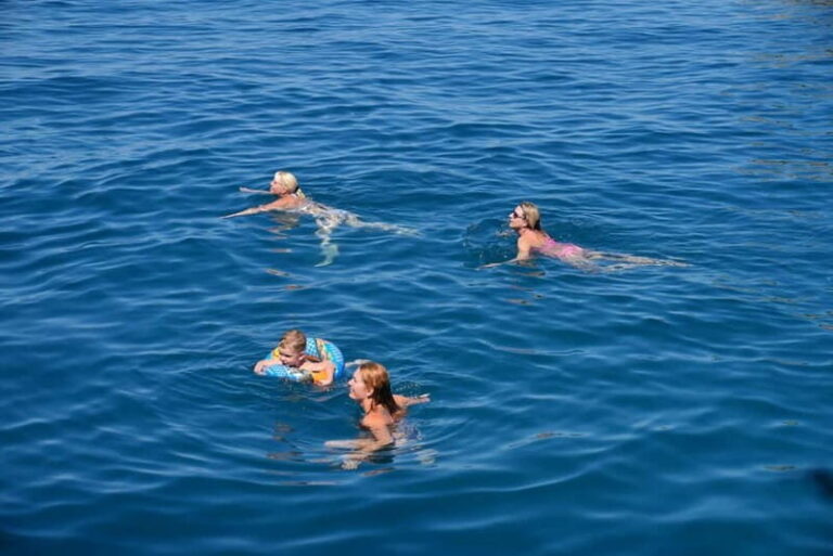 Valencia: Catamaran Adventure with Swimming Stop - The Itinerary and What You Can Expect