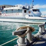 Valencia: Catamaran Cruise with Stop for Swimming - The Experience of the Swim Stop