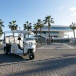 Valencia: Complete Tuk-Tuk Tour Around the City - What’s Included and What to Expect