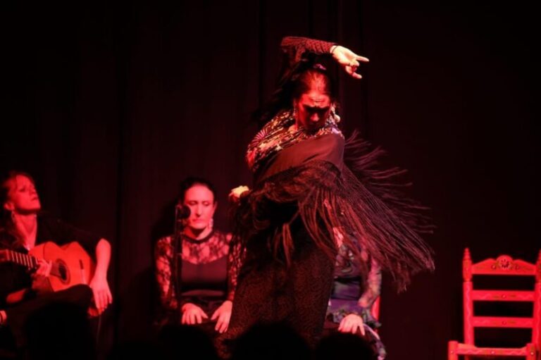 Valencia: Flamenco Show at Ca Revolta Theater - Who Will Love This Experience?