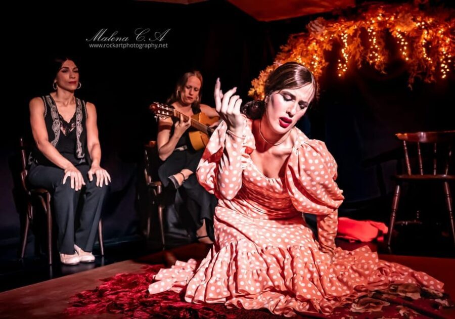 Valencia: Flamenco Show at Tablao La Reina - The Quality and Authenticity of Performances