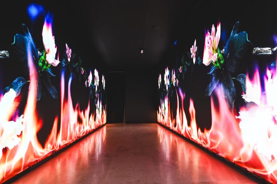 Valencia: Hortensia Herrero Art Center Ticket or Guided Tour - What to Expect During Your Visit