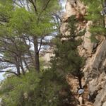 Valencia: Introduction to Sport Rock Climbing - What to Expect on the Day