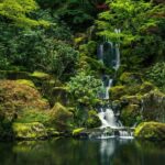 Valencia Natural Wonders: Exploring the Top 4 Waterfalls - The Experience and the Guides