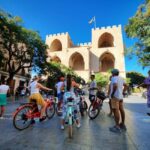 Valencia: Old Town to City of Arts Guided E-Bike Tour - The Itinerary: A Closer Look
