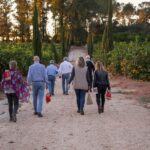 Valencia: Orange Farm and Orchard Trip with Tastings - What to Expect on the Tour