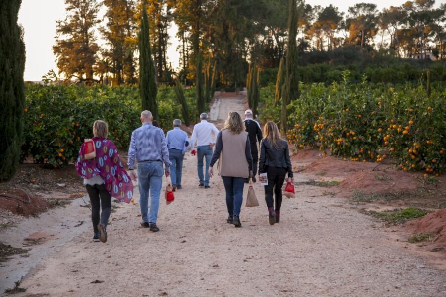 Valencia: Orange Farm and Orchard Trip with Tastings - What to Expect on the Tour