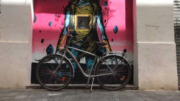 Valencia: Street Art Tour on Bicycle, E-Bike or E-Step - The Starting Point and Initial Insights