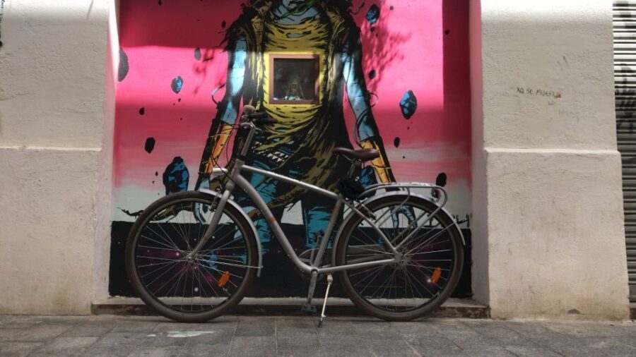 Valencia: Street Art Tour on Bicycle, E-Bike or E-Step - The Starting Point and Initial Insights