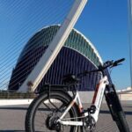 Valencia: The Albufera Lake Self-Guided E-Bike Tour - Exploring Valencia and Albufera Lake: What to Expect