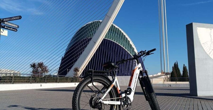 Valencia: The Albufera Lake Self-Guided E-Bike Tour - Exploring Valencia and Albufera Lake: What to Expect