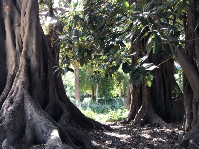 Valencia: Turia & Cabecera Park Private Segway Tour - The Itinerary in Detail