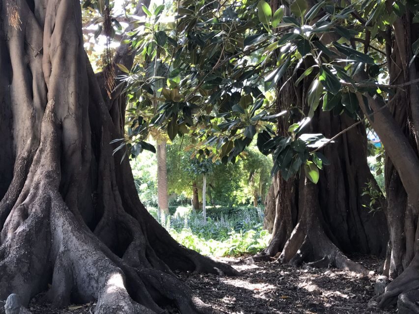 Valencia: Turia & Cabecera Park Private Segway Tour - The Itinerary in Detail