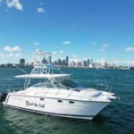 Valencia: VIP Sunset Cruise in Catamaran with drink - The Itinerary and Experience Details