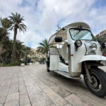 Valencia: Visit the Historic Center of Valencia by Tuk Tuk - The Value of the Experience